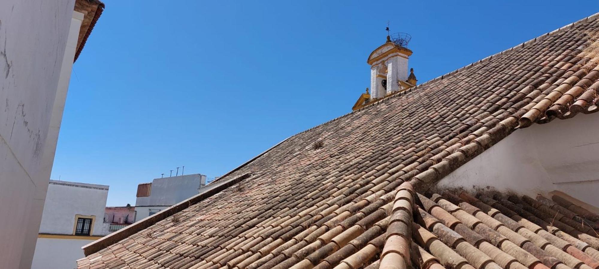 Apartamento Tejar De San Basilio Córdoba Exterior foto